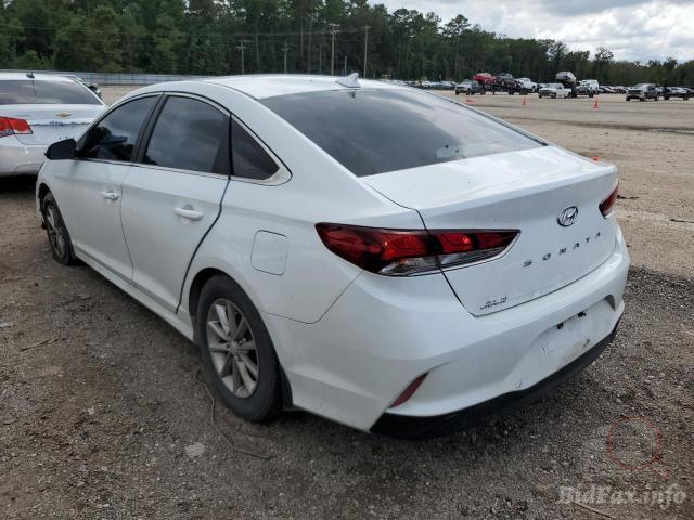 hyundai-sonata-se-2019-5npe24af9kh772366-img3